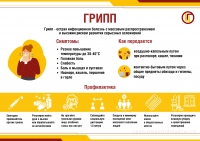 Грипп-