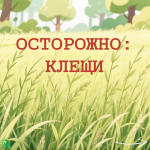 клещи_1.альт